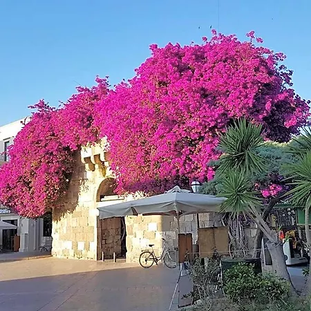 Popi Kos Town