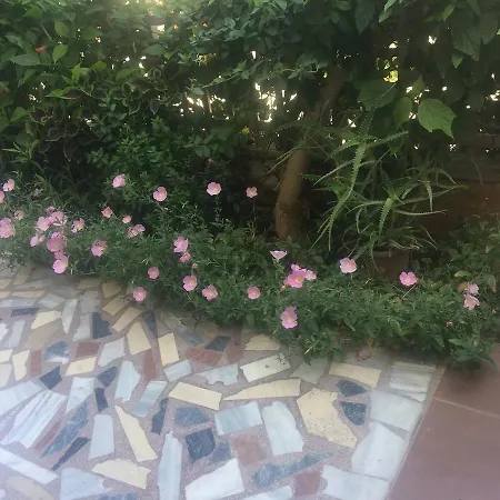 Popi * העיירה קוס