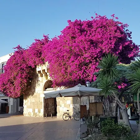 Hotell Popi Kos